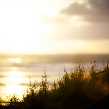 Sundown at ƒ1.2 - v2 100 Jigsaw Puzzle 3D Modell