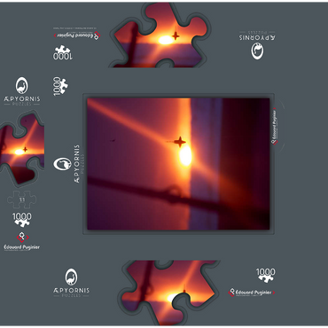 Let's fish! 1000 Jigsaw Puzzle box 3D Modell