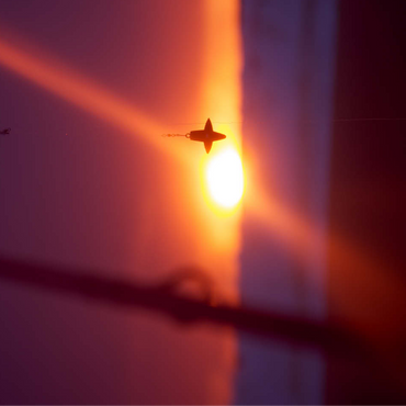 Lets fish 100 Jigsaw Puzzle 3D Modell