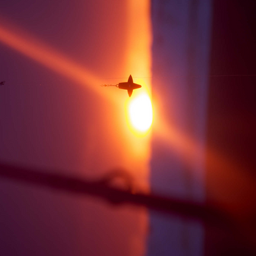 Lets fish 500 Jigsaw Puzzle 3D Modell