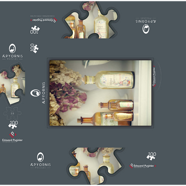 Of Yesteryear 100 Jigsaw Puzzle box 3D Modell