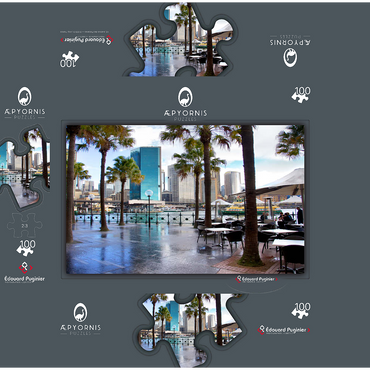 Sydney from Cove Oyster Bar 100 Jigsaw Puzzle box 3D Modell