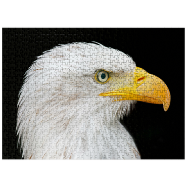 puzzleplate Bald Eagle 500 Jigsaw Puzzle