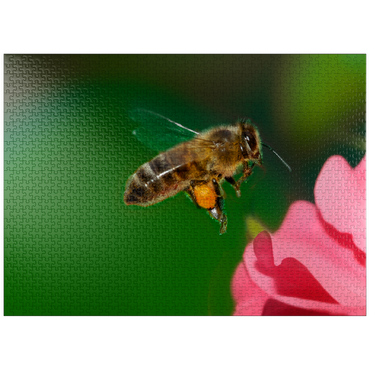 puzzleplate Bee 1000 Jigsaw Puzzle