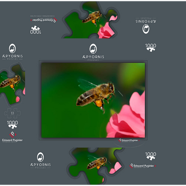 Bee 1000 Jigsaw Puzzle box 3D Modell