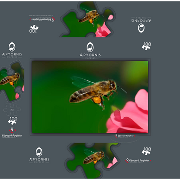 Bee 100 Jigsaw Puzzle box 3D Modell