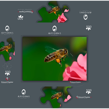 Bee 500 Jigsaw Puzzle box 3D Modell