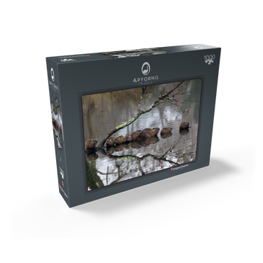 Coypu Family 1000 Jigsaw Puzzle box view1
