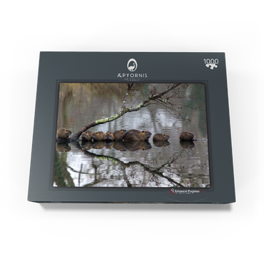 Coypu Family 1000 Jigsaw Puzzle box view1