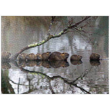 puzzleplate Coypu Family 1000 Jigsaw Puzzle
