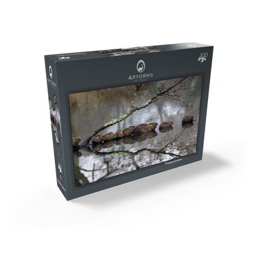 Coypu Family 100 Jigsaw Puzzle box view1