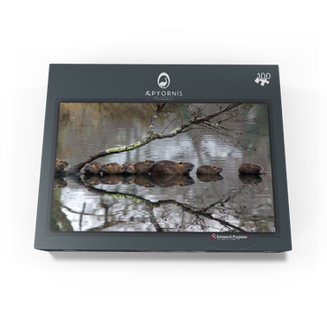 Coypu Family 100 Jigsaw Puzzle box view1