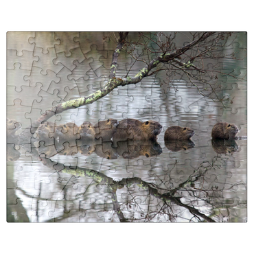 puzzleplate Coypu Family 100 Jigsaw Puzzle