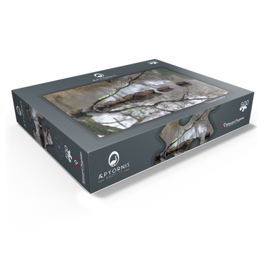 Coypu Family 500 Jigsaw Puzzle box view1
