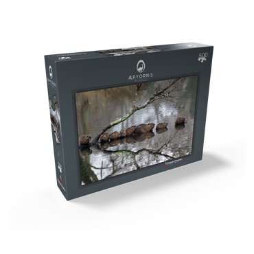 Coypu Family 500 Jigsaw Puzzle box view1