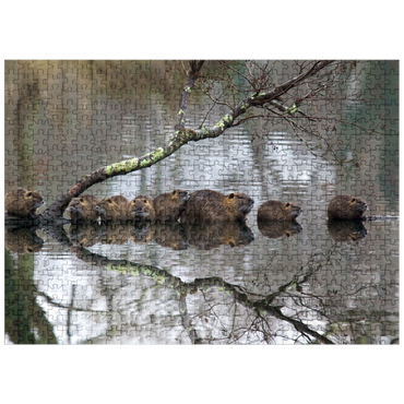 puzzleplate Coypu Family 500 Jigsaw Puzzle