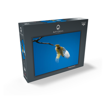 It's time to go! 1000 Jigsaw Puzzle box view1