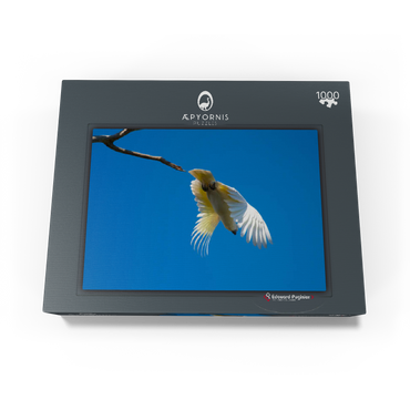 It's time to go! 1000 Jigsaw Puzzle box view1