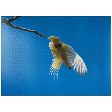 puzzleplate It's time to go! 1000 Jigsaw Puzzle