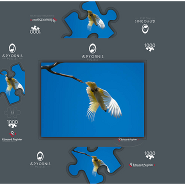 It's time to go! 1000 Jigsaw Puzzle box 3D Modell