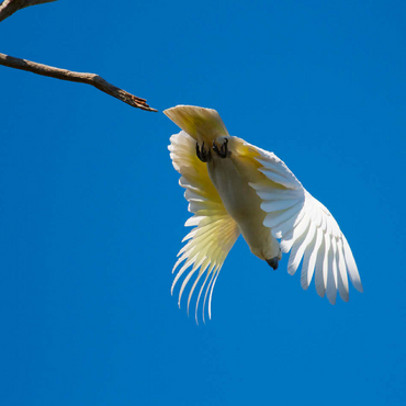 Its time to go 100 Jigsaw Puzzle 3D Modell