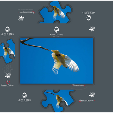 Its time to go 100 Jigsaw Puzzle box 3D Modell