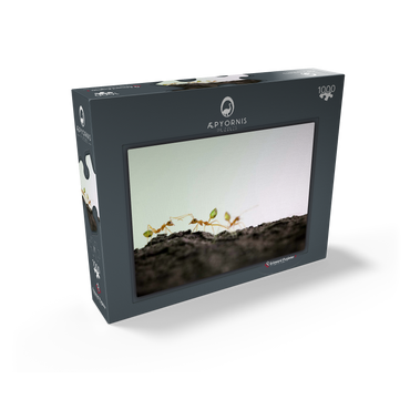 Green Tree Ant 1000 Jigsaw Puzzle box view1