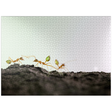 puzzleplate Green Tree Ant 1000 Jigsaw Puzzle
