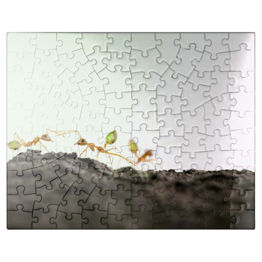 puzzleplate Green Tree Ant 100 Jigsaw Puzzle