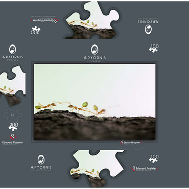 Green Tree Ant 100 Jigsaw Puzzle box 3D Modell