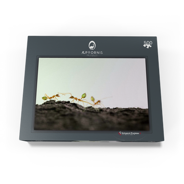 Green Tree Ant 500 Jigsaw Puzzle box view1