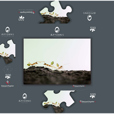 Green Tree Ant 500 Jigsaw Puzzle box 3D Modell