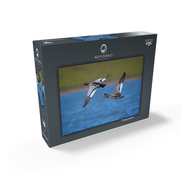 Australian Wood Duck 1000 Jigsaw Puzzle box view1