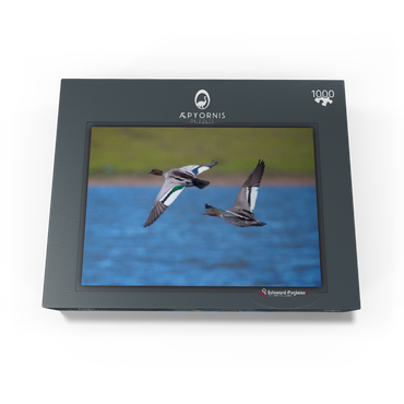 Australian Wood Duck 1000 Jigsaw Puzzle box view1
