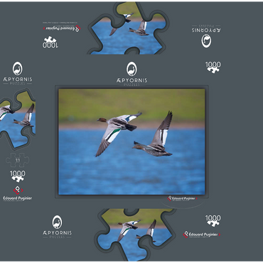 Australian Wood Duck 1000 Jigsaw Puzzle box 3D Modell