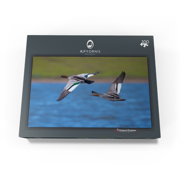 Australian Wood Duck 100 Jigsaw Puzzle box view1