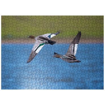 puzzleplate Australian Wood Duck 500 Jigsaw Puzzle