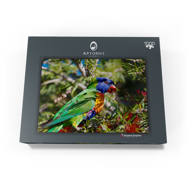 Rainbow Lorikeet 1000 Jigsaw Puzzle box view1