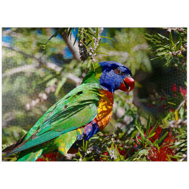 puzzleplate Rainbow Lorikeet 1000 Jigsaw Puzzle