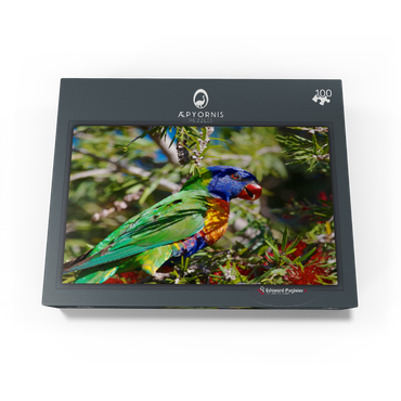 Rainbow Lorikeet 100 Jigsaw Puzzle box view1