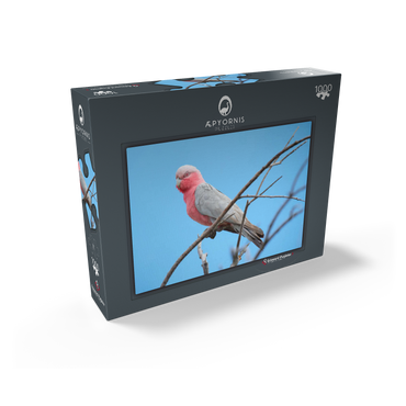 Galah 1000 Jigsaw Puzzle box view1