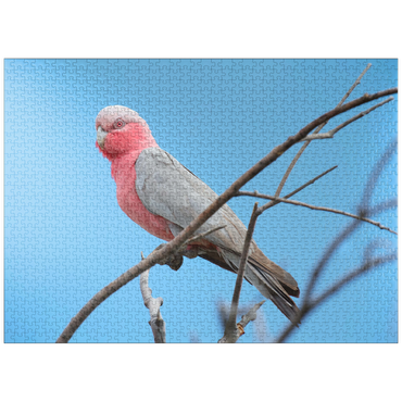 puzzleplate Galah 1000 Jigsaw Puzzle
