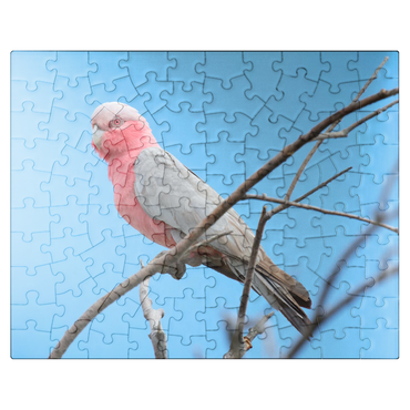 puzzleplate Galah 100 Jigsaw Puzzle