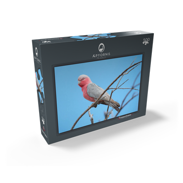 Galah 500 Jigsaw Puzzle box view1