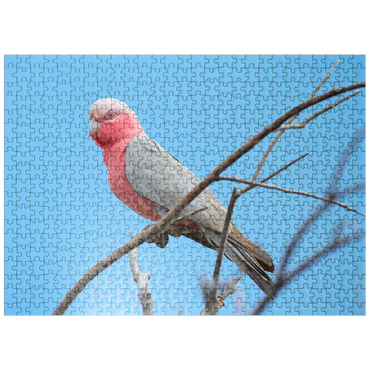 puzzleplate Galah 500 Jigsaw Puzzle
