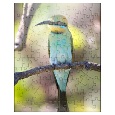 puzzleplate Rainbow Bee-Eater 100 Jigsaw Puzzle
