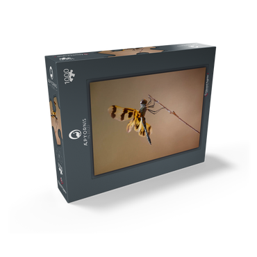 Ready for take-off 1000 Jigsaw Puzzle box view1