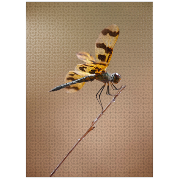 puzzleplate Ready for take-off 1000 Jigsaw Puzzle