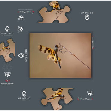 Ready for take-off 1000 Jigsaw Puzzle box 3D Modell