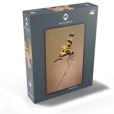 Ready for take-off 100 Jigsaw Puzzle box view1